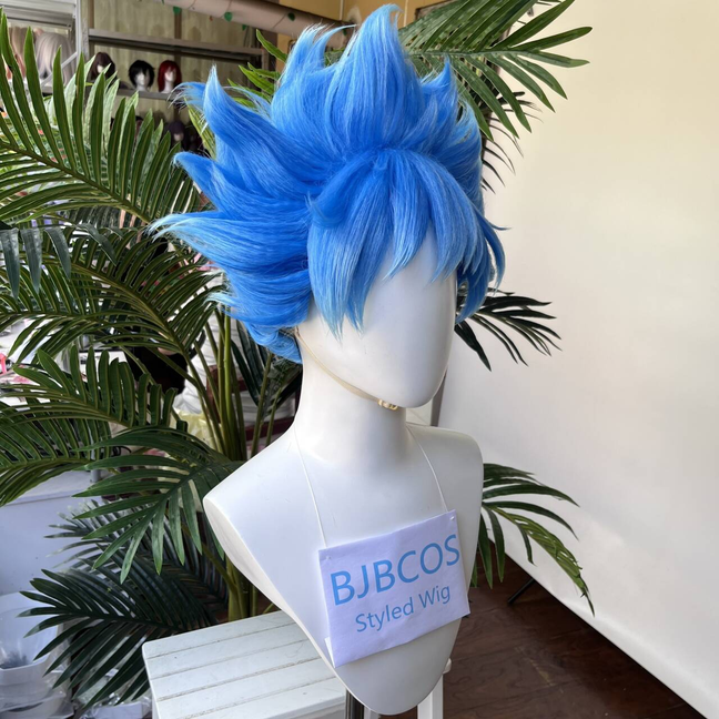 [Styled Wig]Twisted Wig Wonder – Men'S Accessories Japan recenzja i cena