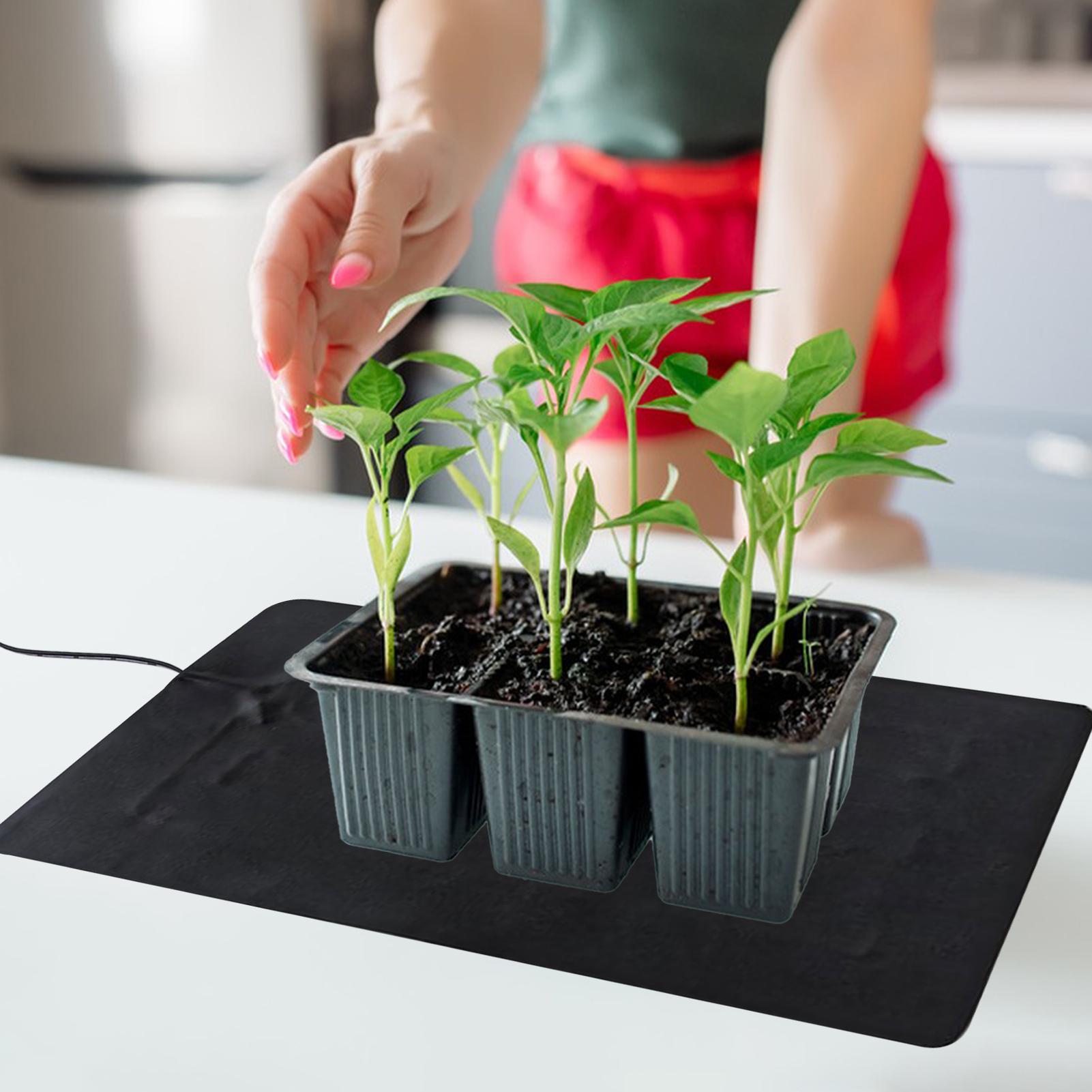 3 Temperature Adjustable Plant – Men'S Accessories Tray recenzja i cena